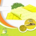 کارت زرد حشرات ایرانی2