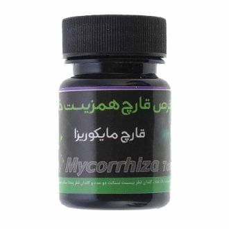 قرص قارچ همزیست مایکوریزا