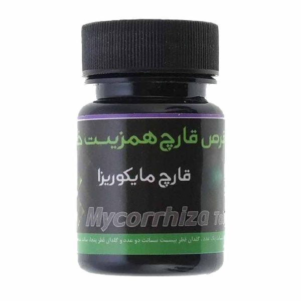 قرص قارچ همزیست مایکوریزا